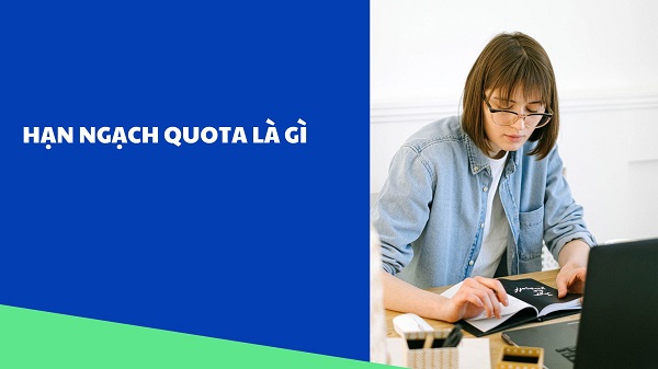 Quota (Hạn ngạch) là gì? Đặc điểm của hạn ngạch và điều kiện áp dụng
