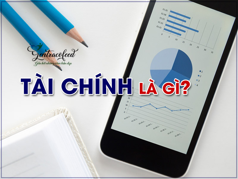 Tài Chính là gì và Những vấn đề liên quan đến Tài Chính